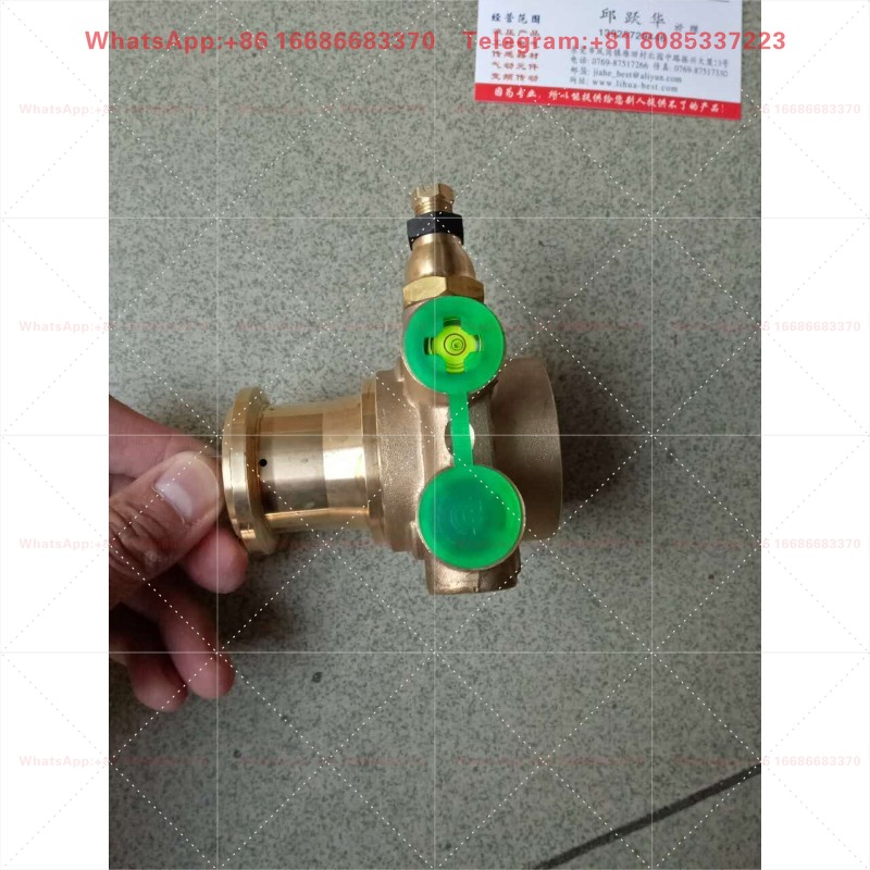 Espresso Machine Rotary Pump - Italiaanse Fluid-O-Tech pomp PA202Z PA401 P02504V