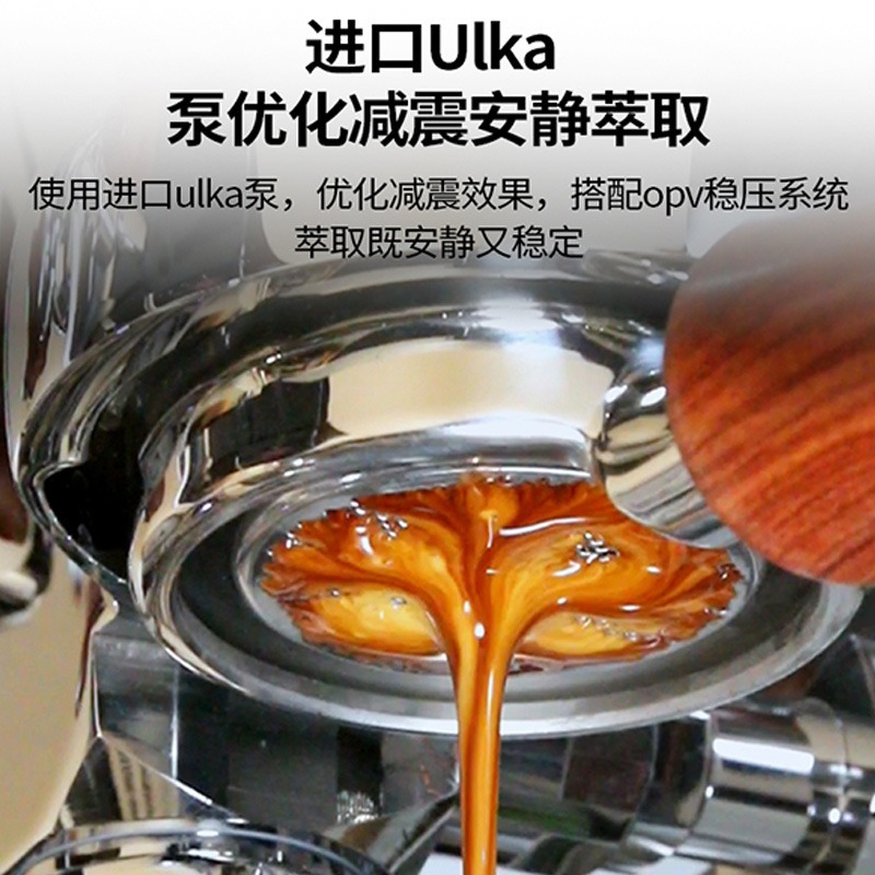 Luxe 1-groeps vibratiepomp hot - Espresso Machine 1 Group E61 recensie en prijs